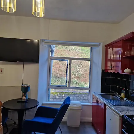 Cosy - Cosyincork * Cork