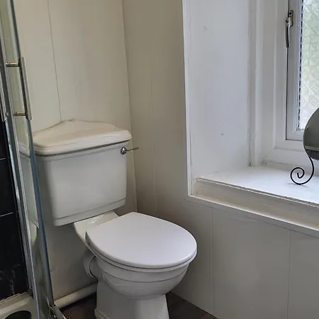 Cosy - Cosyincork * Cork