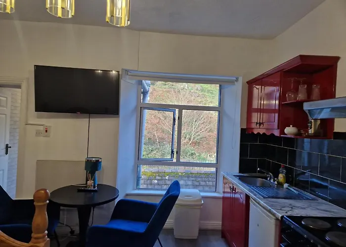 Cosy - Cosyincork * Cork