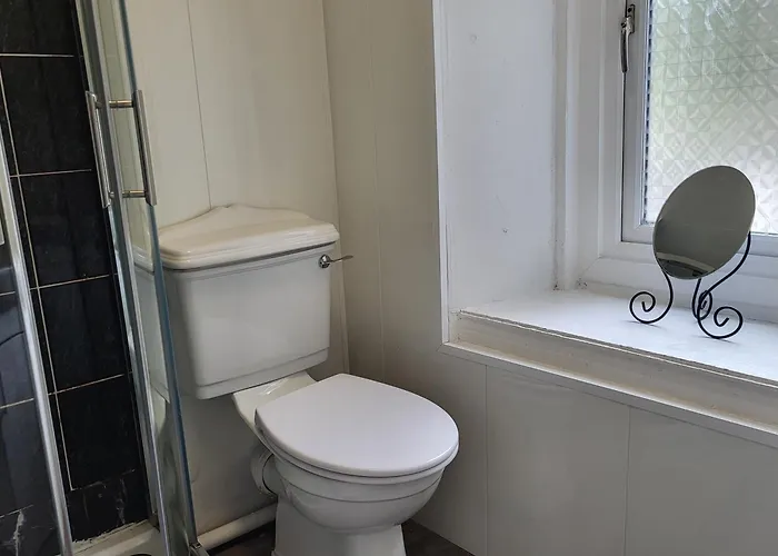 Cosy - Cosyincork * Cork